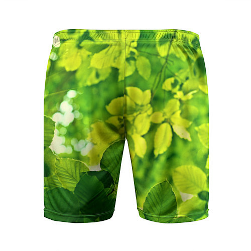 Мужские спортивные шорты Зелёные листья / 3D-принт – фото 2