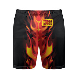 Мужские спортивные шорты PUBG: Hell Flame