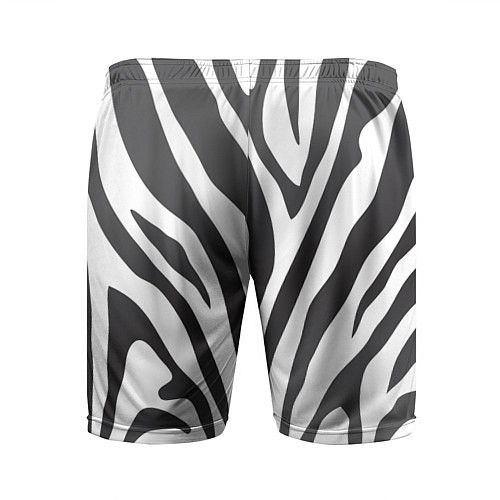 Мужские спортивные шорты Африканская зебра / 3D-принт – фото 2
