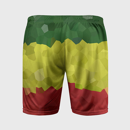 Мужские спортивные шорты Эфиопия / 3D-принт – фото 2