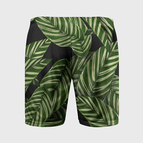 Мужские спортивные шорты Тропические большие листья / 3D-принт – фото 2