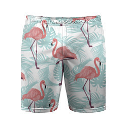 Мужские спортивные шорты Узор фламинго и тропических растений