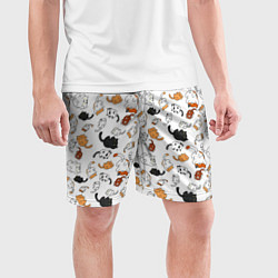 Шорты спортивные мужские Кошачьи валяния, цвет: 3D-принт — фото 2