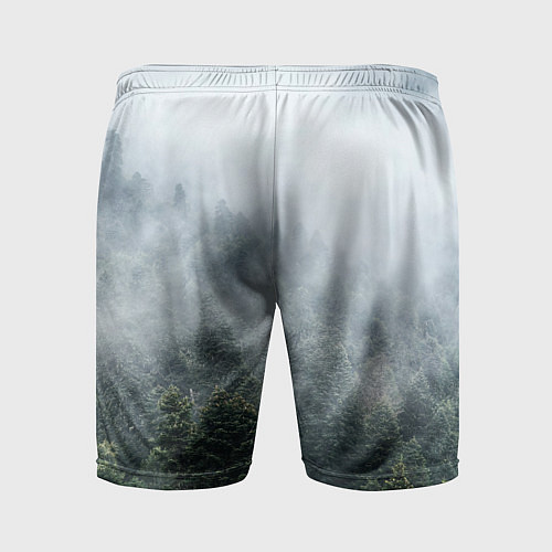 Мужские спортивные шорты Туманный лес / 3D-принт – фото 2