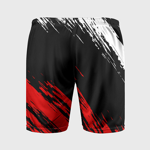 Мужские спортивные шорты CHICAGO BULLS / 3D-принт – фото 2