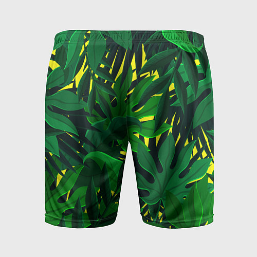 Мужские спортивные шорты В джунглях / 3D-принт – фото 2