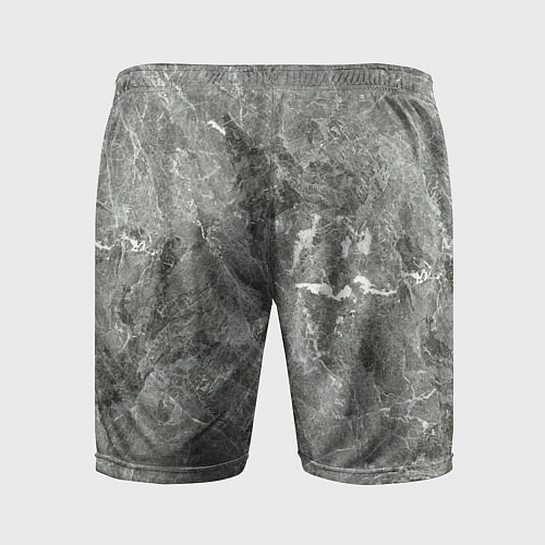 Мужские спортивные шорты Grey / 3D-принт – фото 2