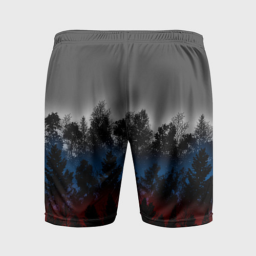 Мужские спортивные шорты Флаг из леса / 3D-принт – фото 2