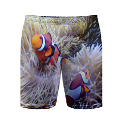 Шорты спортивные мужские Клоуны в актинии, цвет: 3D-принт