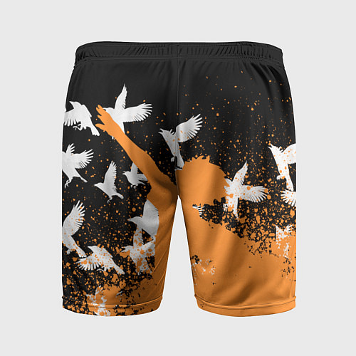 Мужские спортивные шорты Волейбол - Вороны / 3D-принт – фото 2