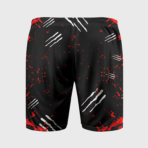 Мужские спортивные шорты The Witcher 2 : Убийцы королей / 3D-принт – фото 2