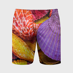 Мужские спортивные шорты Разноцветные ракушки multicolored seashells
