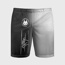 Мужские спортивные шорты Stray