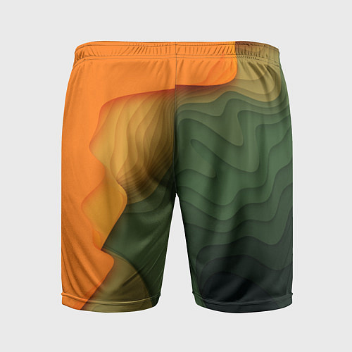 Мужские спортивные шорты Зеленые дюны / 3D-принт – фото 2