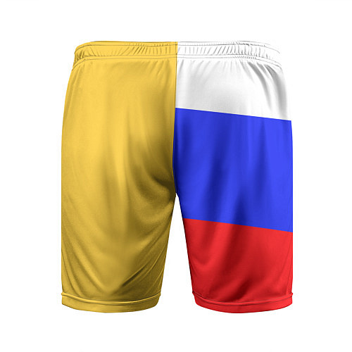 Мужские спортивные шорты Имперское знамя ТРИКОЛОР / 3D-принт – фото 2