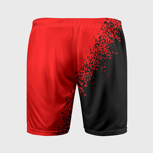 Мужские спортивные шорты NISSAN Краска / 3D-принт – фото 2