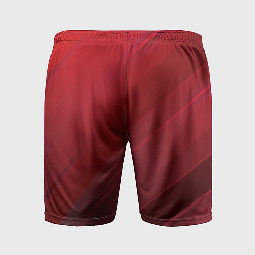 Мужские спортивные шорты Полосы На красном Фоне / 3D-принт – фото 2