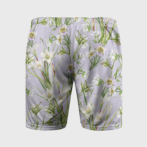 Мужские спортивные шорты Цветы Лилии и Морозники / 3D-принт – фото 2