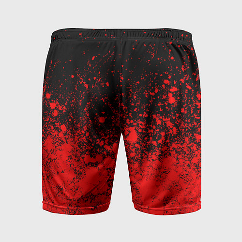 Мужские спортивные шорты DAYZ - Краска FS / 3D-принт – фото 2