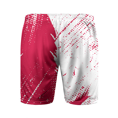 Мужские спортивные шорты Roma краска / 3D-принт – фото 2
