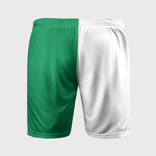 Мужские спортивные шорты ФК Ахмат бело-зеленая форма / 3D-принт – фото 2