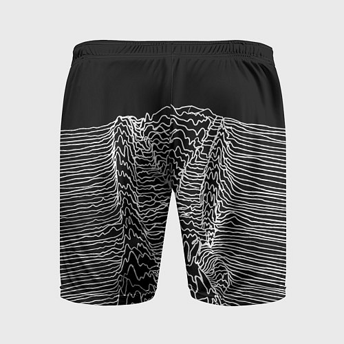 Мужские спортивные шорты Чёрно-белый объёмный растр / 3D-принт – фото 2