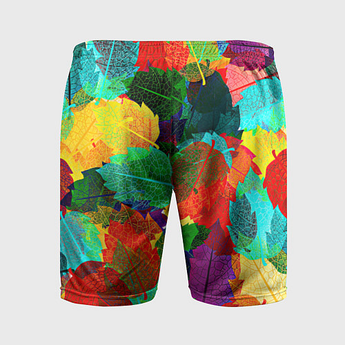 Мужские спортивные шорты Colored leaves / 3D-принт – фото 2