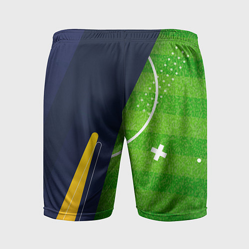 Мужские спортивные шорты PSG football field / 3D-принт – фото 2