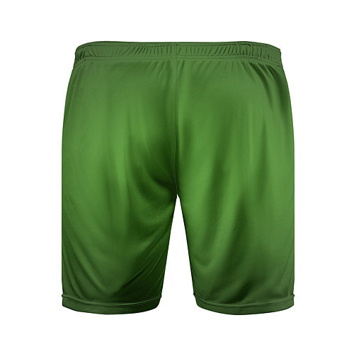 Мужские спортивные шорты Зеленый с затемняющей виньеткой / 3D-принт – фото 2