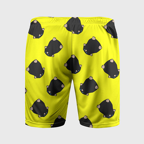 Мужские спортивные шорты Кротовуха / 3D-принт – фото 2