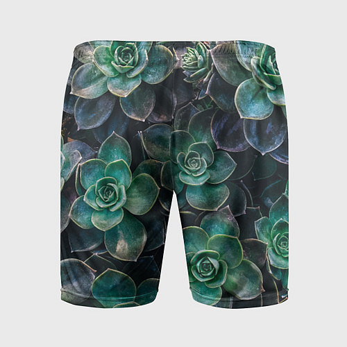Мужские спортивные шорты Паттерн из множество зелёных цветов / 3D-принт – фото 2