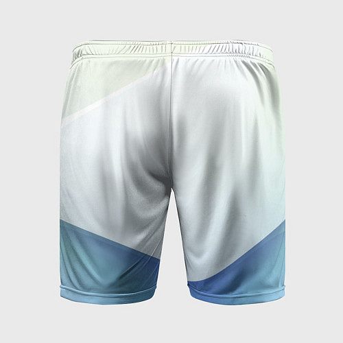 Мужские спортивные шорты Пастель из трёх цветов / 3D-принт – фото 2