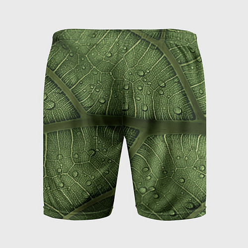 Мужские спортивные шорты Текстура зелёной листы / 3D-принт – фото 2
