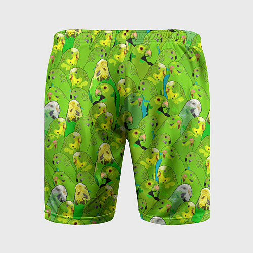Мужские спортивные шорты Зеленые волнистые попугайчики / 3D-принт – фото 2