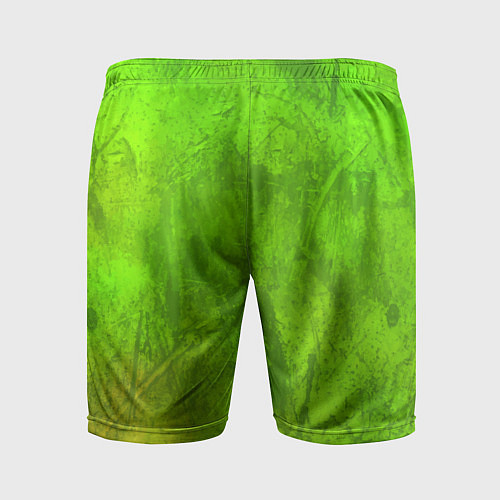 Мужские спортивные шорты Зелёная фантазия / 3D-принт – фото 2