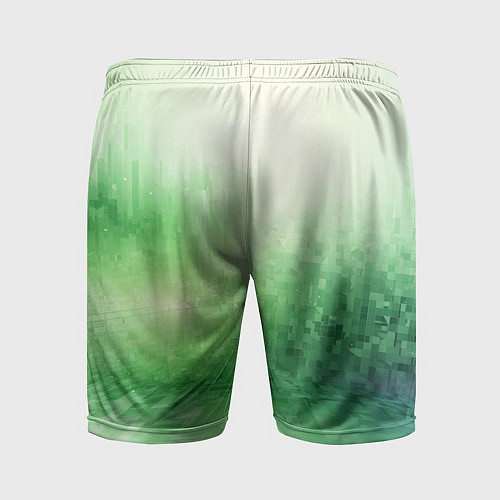 Мужские спортивные шорты Травяные пиксели / 3D-принт – фото 2