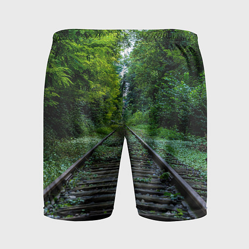 Мужские спортивные шорты Зелёный лес России / 3D-принт – фото 2