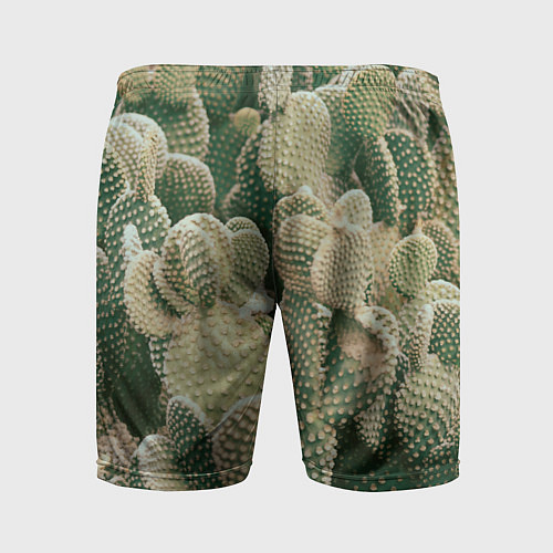 Мужские спортивные шорты Поле кактусов / 3D-принт – фото 2