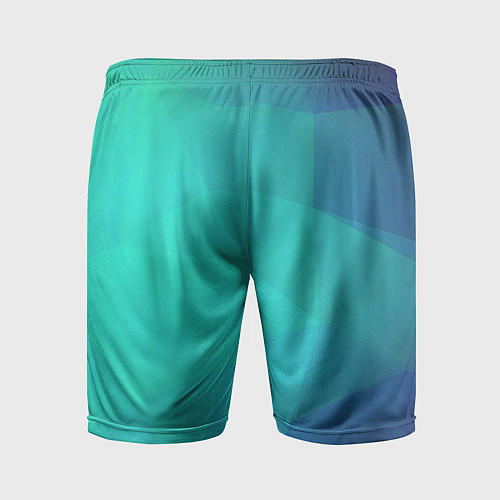 Мужские спортивные шорты Голубые грани / 3D-принт – фото 2