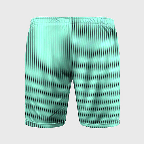 Мужские спортивные шорты Мятный полосатый / 3D-принт – фото 2