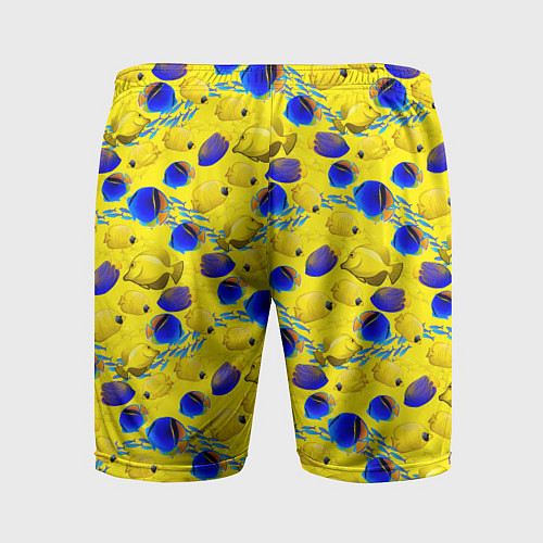 Мужские спортивные шорты Разноцветные тропические рыбы / 3D-принт – фото 2
