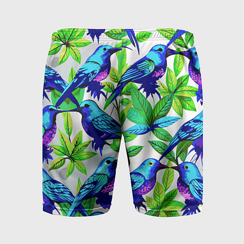 Мужские спортивные шорты Паттерн маленькое синее колибри / 3D-принт – фото 2