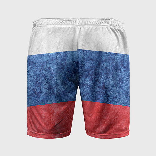 Мужские спортивные шорты Флаг России разноцветный / 3D-принт – фото 2