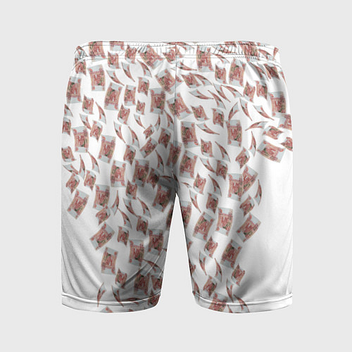 Мужские спортивные шорты Деньги рубли / 3D-принт – фото 2