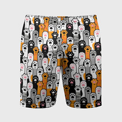 Мужские спортивные шорты Кошачьи лапы