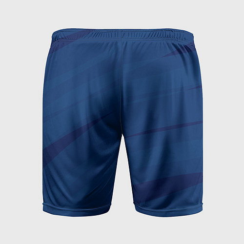 Мужские спортивные шорты Тёмно-синий полосами / 3D-принт – фото 2