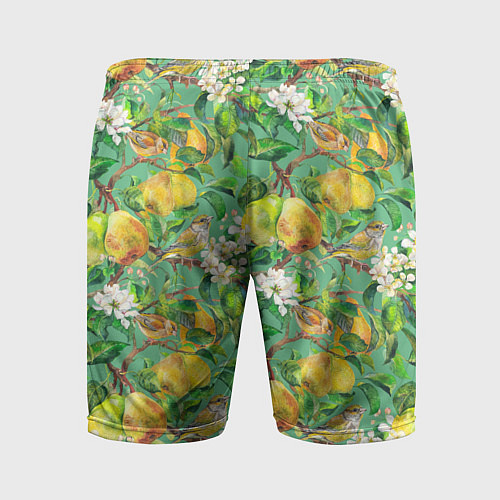 Мужские спортивные шорты Груши и птицы / 3D-принт – фото 2
