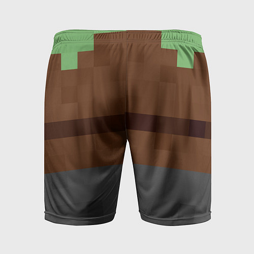 Мужские спортивные шорты Алекса Minecraft низ / 3D-принт – фото 2