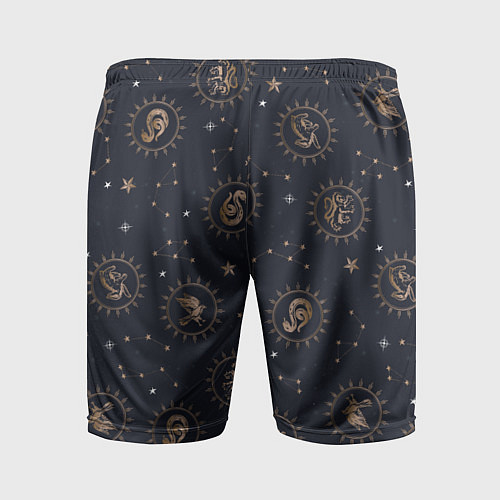 Мужские спортивные шорты Все факультеты Хогвартса / 3D-принт – фото 2