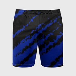 Мужские спортивные шорты The color is black and blue